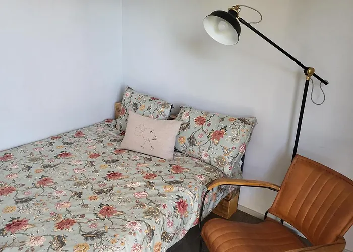 Oddih Pr Toniqu * موست نا سوتشي